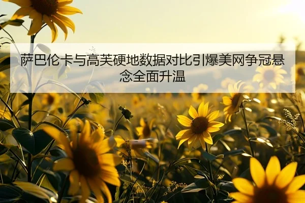 萨巴伦卡与高芙硬地数据对比引爆美网争冠悬念全面升温